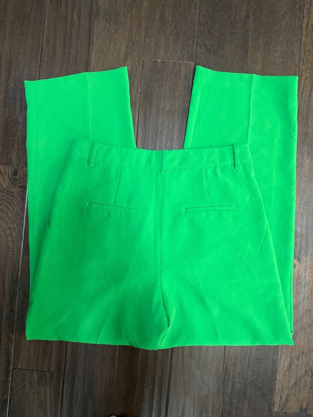 Aritzia Wilfred Effortless Pants in the Gloss Green Sz 14